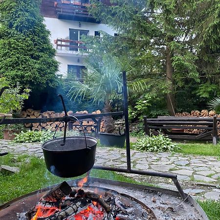 Apartament Pensiunea Liziera Buşteni Exteriör bild