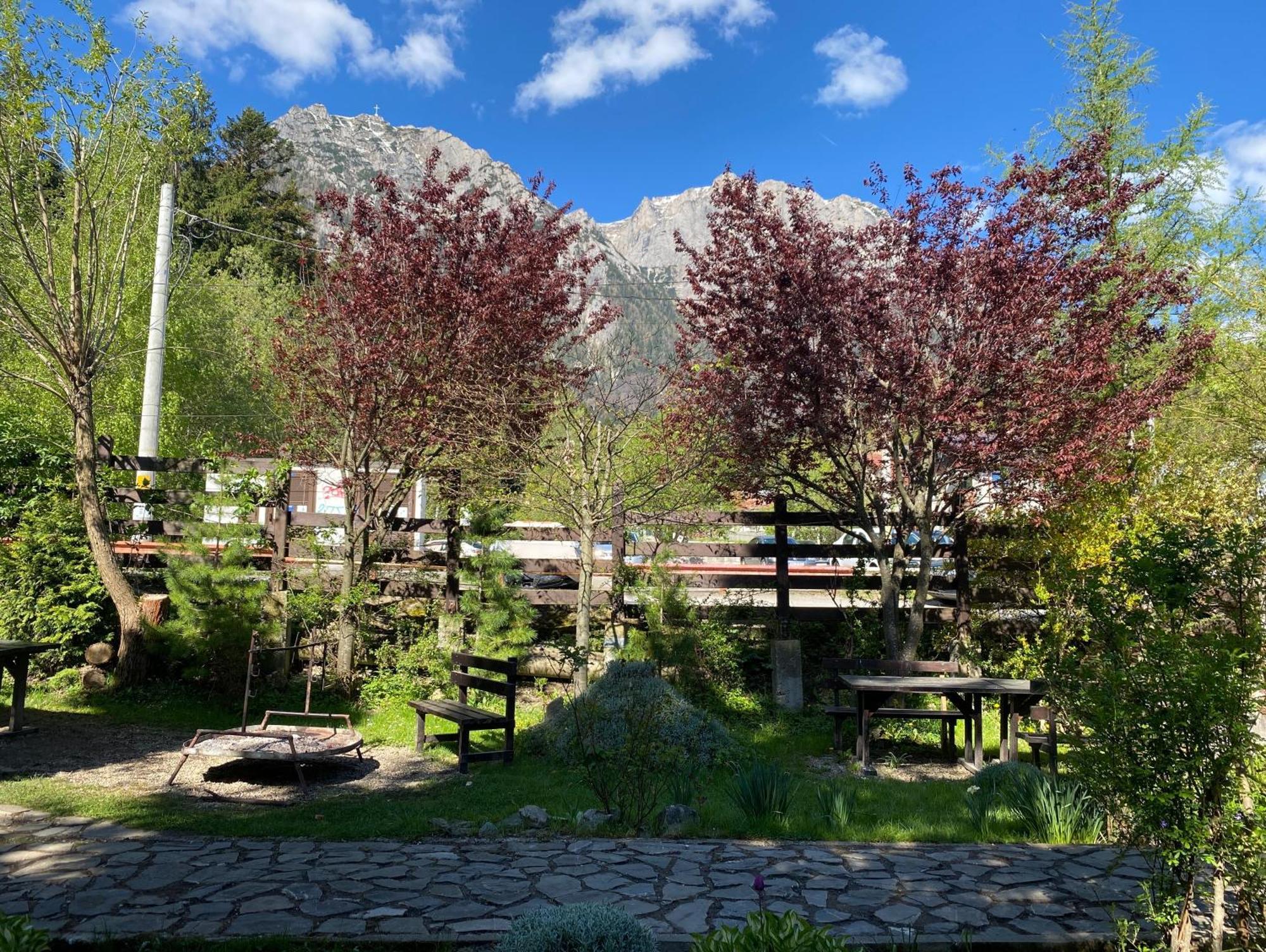 Apartament Pensiunea Liziera Buşteni Exteriör bild