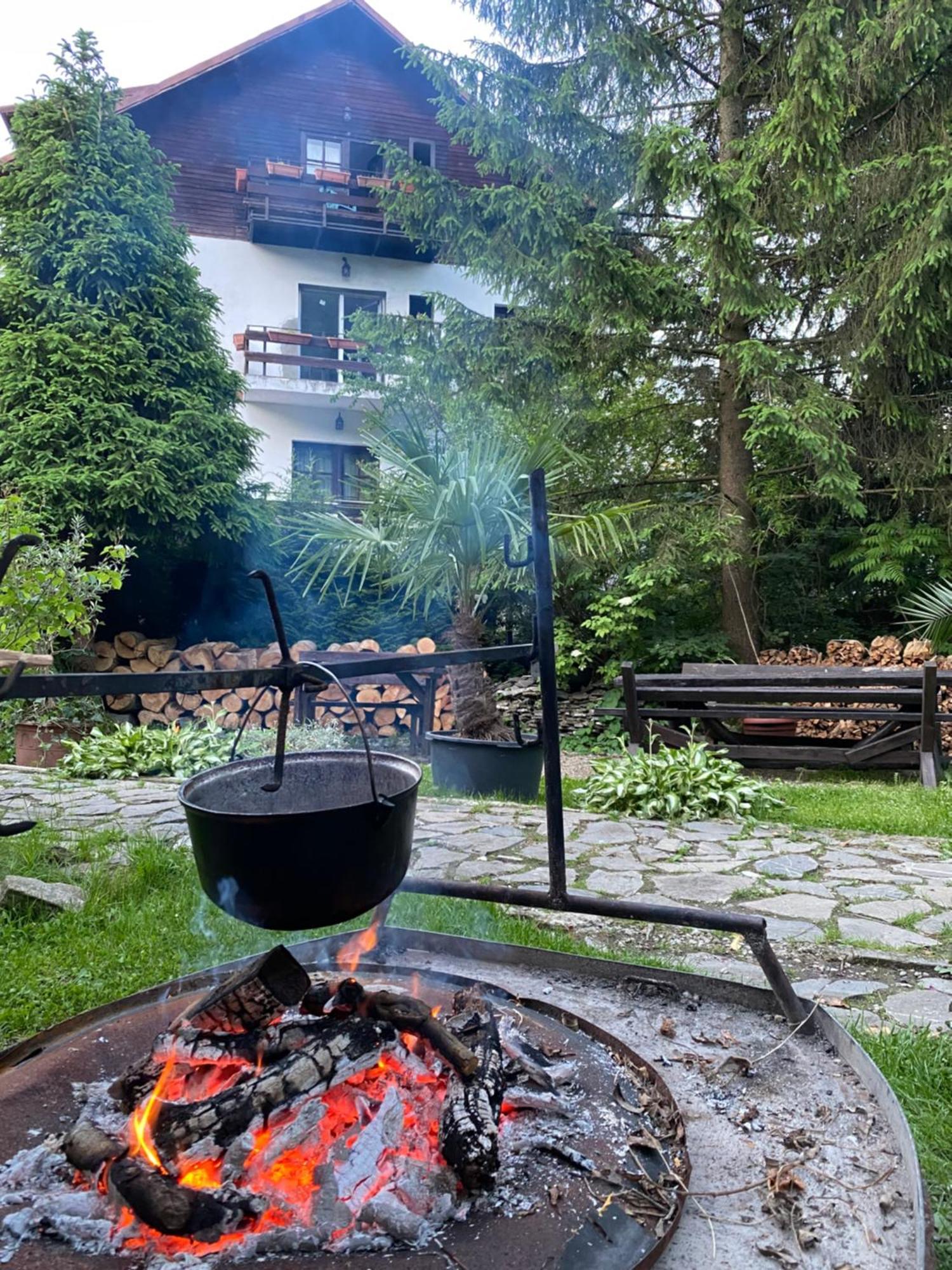Apartament Pensiunea Liziera Buşteni Exteriör bild